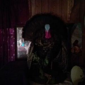 Meet your Posher, Edgar